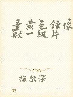 看黄色录像人与兽一级片