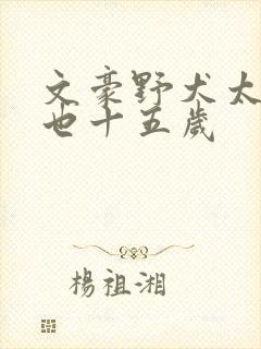 文豪野犬太宰中也十五岁