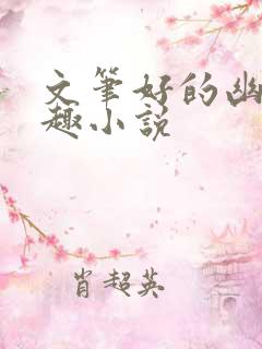 文笔好的幽默风趣小说