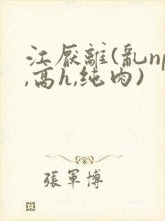 江厌离(乱np,高h,纯肉)
