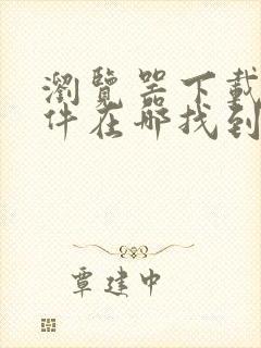 浏览器下载的文件在哪找到