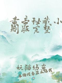 黄帝秘藏小说未删版完整