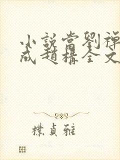 小说当刘禅穿越成赵构全文阅读