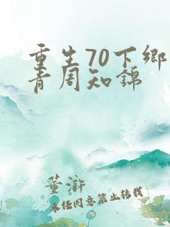 重生70下乡知青周知锦