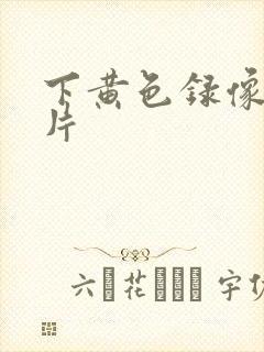 下黄色录像一级片