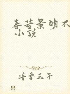 春若景明不相逢 小说