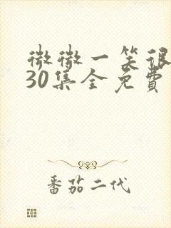 微微一笑很倾城30集全免费