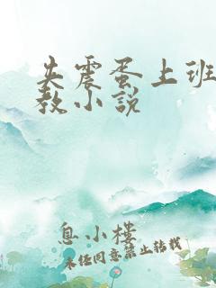 夹震蛋上班被调教小说