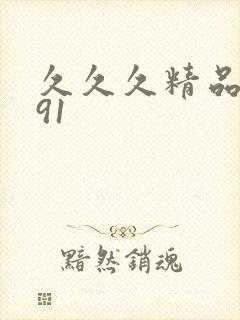 久久久精品国产91