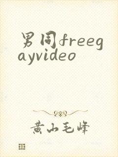 男同freegayvideo