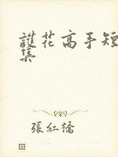 护花高手短剧全集