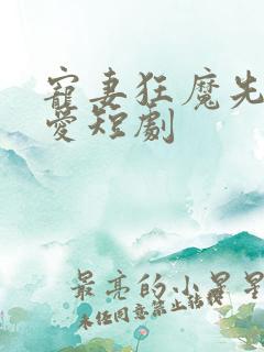 宠妻狂魔先婚后爱短剧