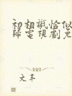 初相识恰似故人归电视剧免费观看