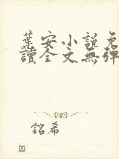 叶安小说免费阅读全文无弹窗