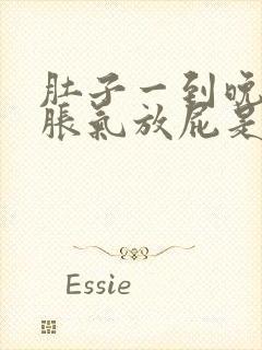 肚子一到晚上就胀气放屁是怎么回事