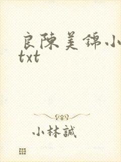 良陈美锦小说.txt