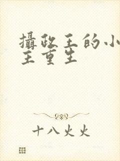 摄政王的小说女主重生