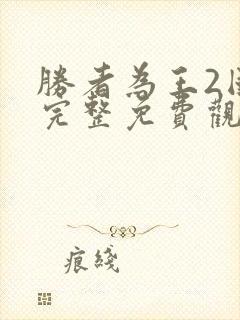 胜者为王2国语完整免费观看