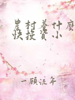 农村养什么挣钱快投资小