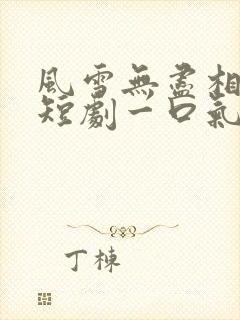 风雪无尽相思情短剧一口气看完