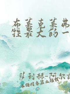 布莱克莱弗利牺牲最大的一部电影