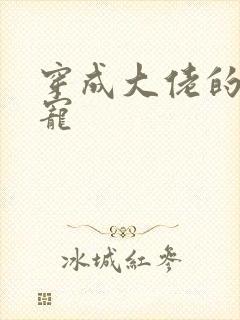 穿成大佬的心尖宠