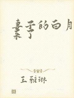 妻子的白月光回来了