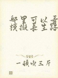 哪里可以看我的模拟长生路全文