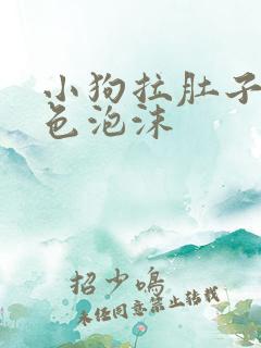 小狗拉肚子吐白色泡沫