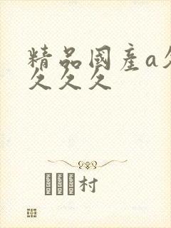 精品国产a久久久久久