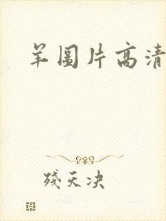 羊图片高清壁纸