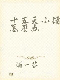 十五天小猪拉稀怎么办