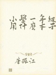 小学一年级一般用什么本子比较多