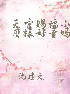 天官赐福小说怎么样好看吗