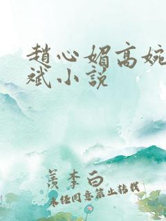 赵心媚高婉君陈斌小说