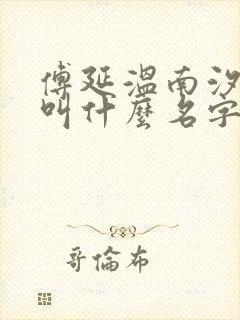 傅延温南汐小说叫什么名字