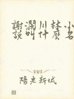 谢澜川林小棠小说叫什么名字