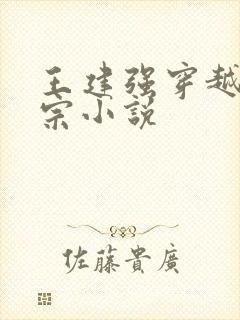 王建强穿越合欢宗小说