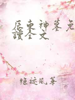 辰东神墓免费阅读全文