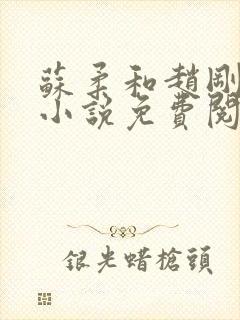 苏柔和赵刚林风小说免费阅读