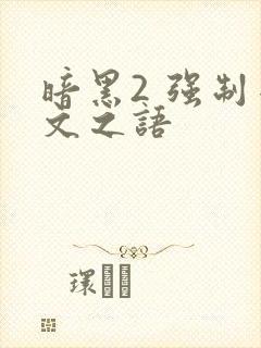 暗黑2 强制符文之语