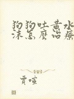 狗狗吐黄水带泡沫怎么治疗