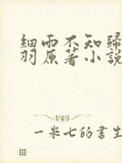 细雨不知归谢轻羽原著小说结局