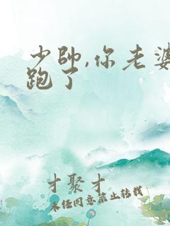 少帅,你老婆又跑了