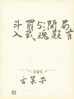 斗罗5:开局加入武魂殿有声小说完整