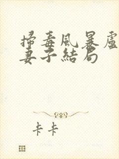 扫毒风暴卢少华妻子结局