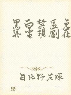 黑白禁区免费全集电视剧在线观看