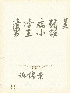 清冷病弱美人双男主小说