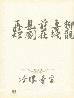 再见前妻柳如烟短剧在线观看