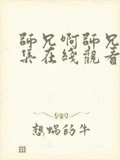 师兄啊师兄45集在线观看